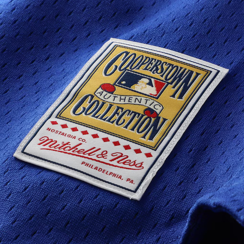 Mitchell And Ness Ryne Sandberg Chicago Cubs 1997 Authentic BP Button Down Jersey Official Team Jersey Sports Fan Apparel Official MLB Team Apparel Ba
