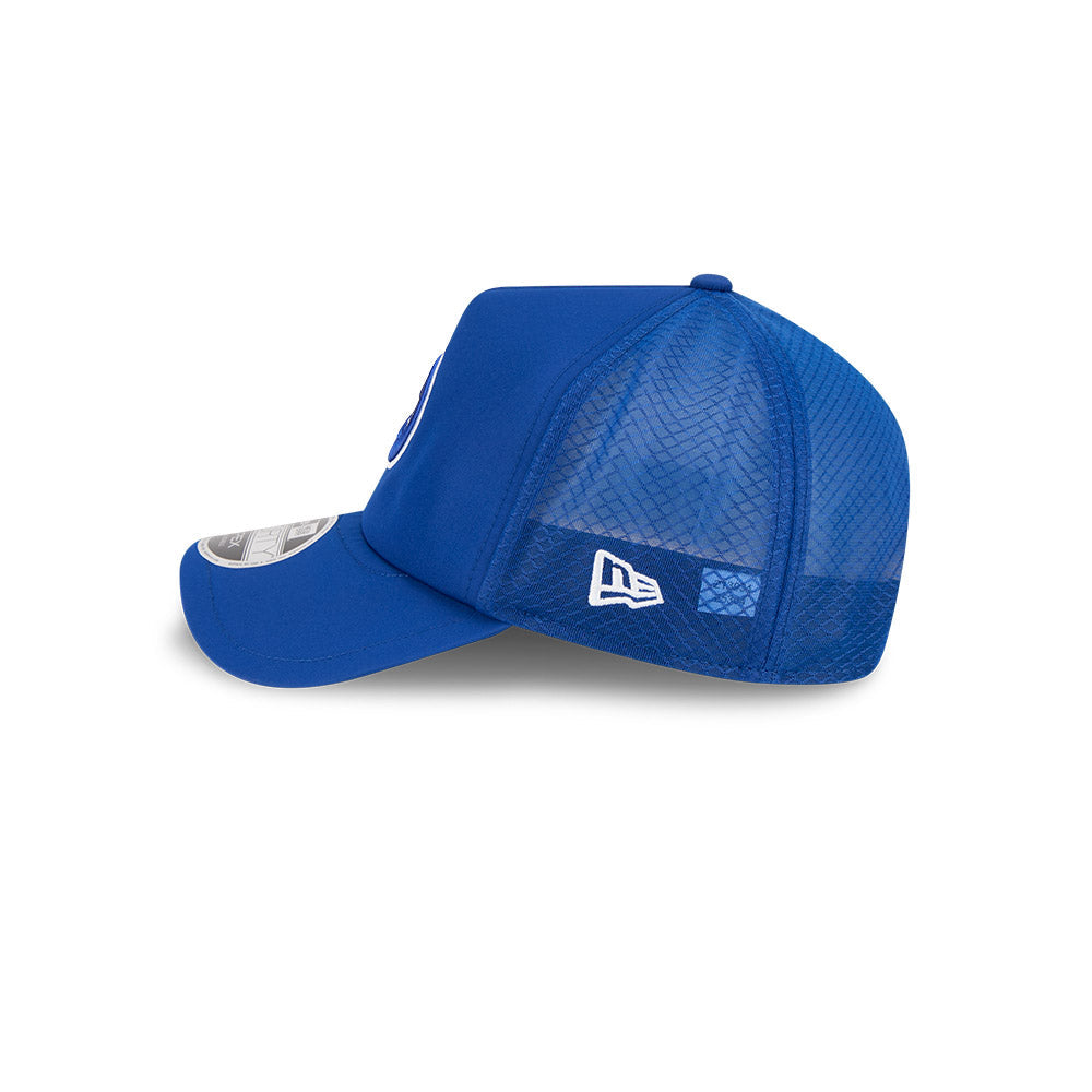 Chicago Cubs New Era 2026 Batting Practice 9Forty APEX Bullseye Logo Snap Adjustable Hat-Royal Official Team Hat Sports Fan Cap Official MLB Team Hat