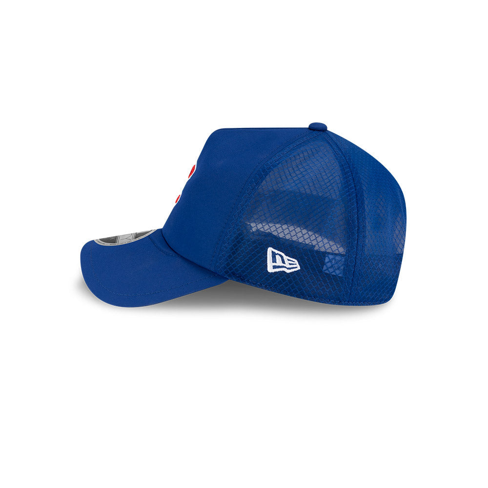 Chicago Cubs New Era 2026 Batting Practice 9Forty APEX C Logo Snap Adjustable Hat-Royal Official Team Hat Sports Fan Cap Official MLB Team Hat Basebal