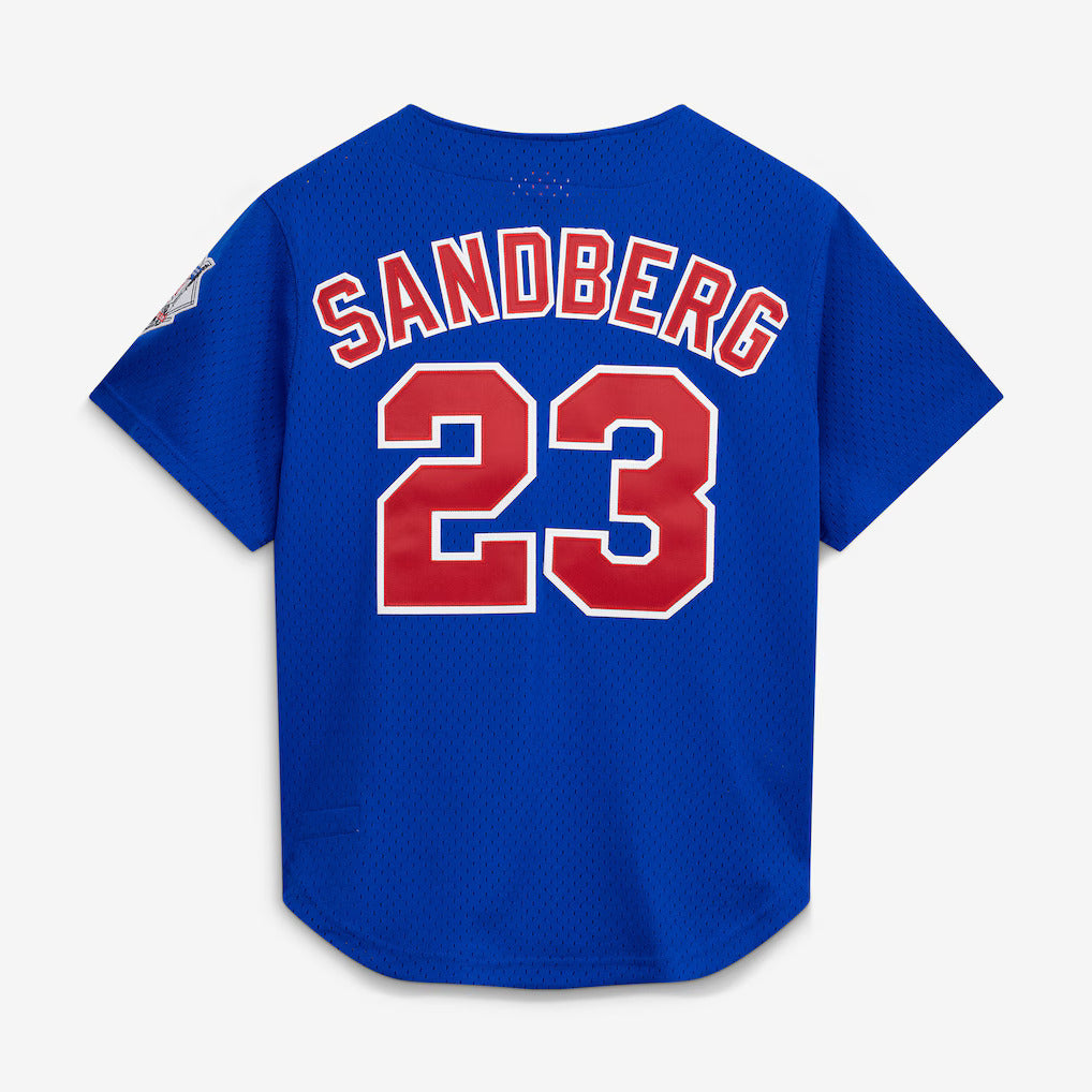 Mitchell And Ness Ryne Sandberg Chicago Cubs 1997 Authentic BP Button Down Jersey Official Team Jersey Sports Fan Apparel Official MLB Team Apparel Ba