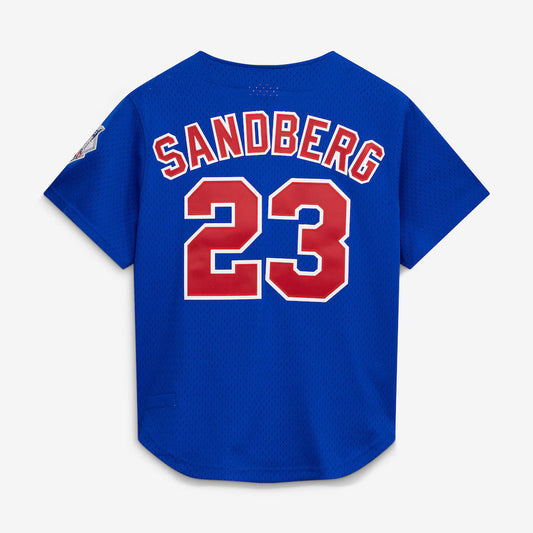 Mitchell And Ness Ryne Sandberg Chicago Cubs 1997 Authentic BP Button Down Jersey Official Team Jersey Sports Fan Apparel Official MLB Team Apparel Ba