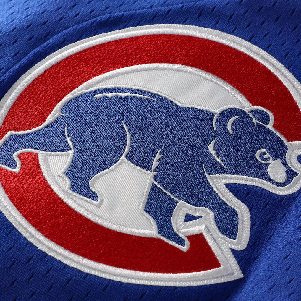 Mitchell And Ness Ryne Sandberg Chicago Cubs 1997 Authentic BP Button Down Jersey Official Team Jersey Sports Fan Apparel Official MLB Team Apparel Ba
