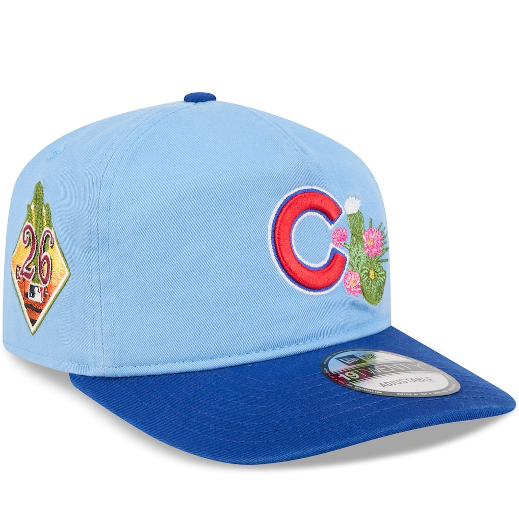 Chicago Cubs MLB 19Twenty Spring Training New Era Blue Official Team Hat Sports Fan Cap Official MLB Team Hat Baseball Fan Cap